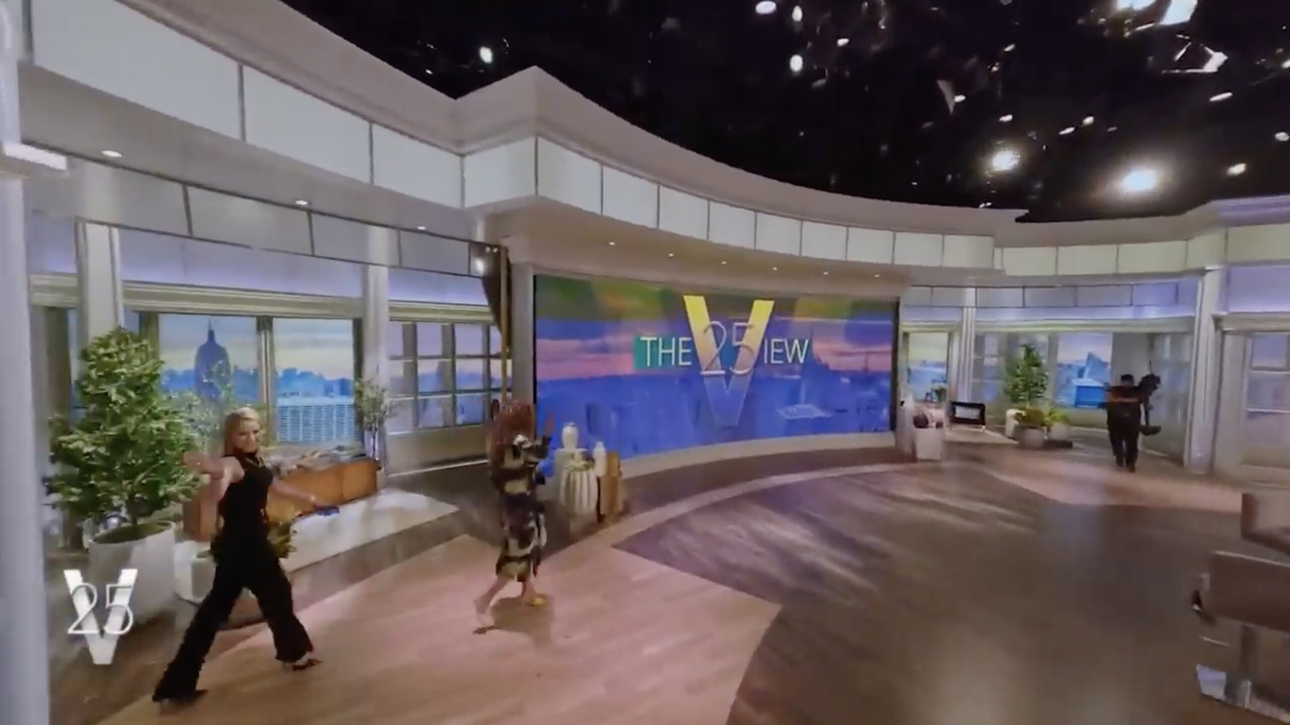 The View BTS FPV